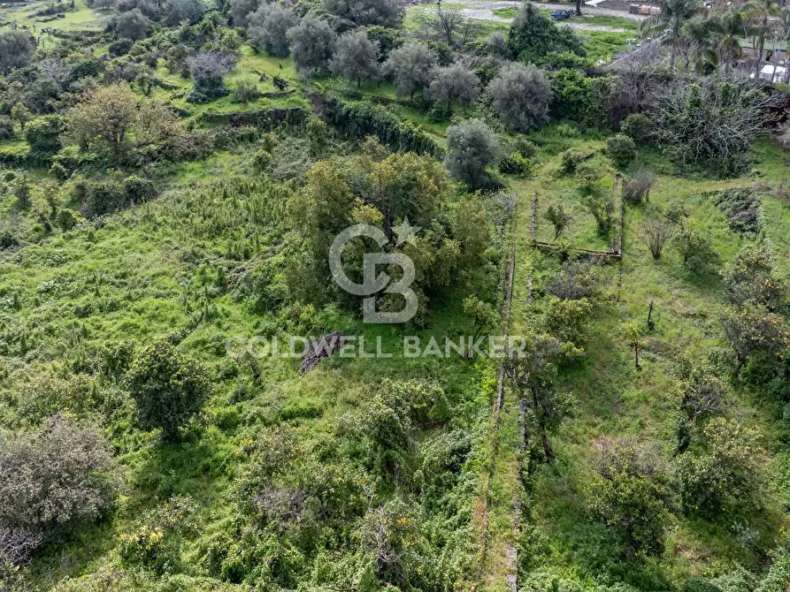 Immagine 17 di Terreno agricolo in vendita  in Via Reina 6 a Acireale