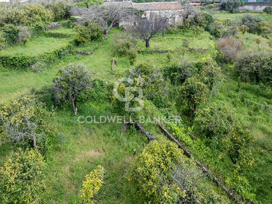 Immagine 2 di Terreno agricolo in vendita  in Via Reina 6 a Acireale