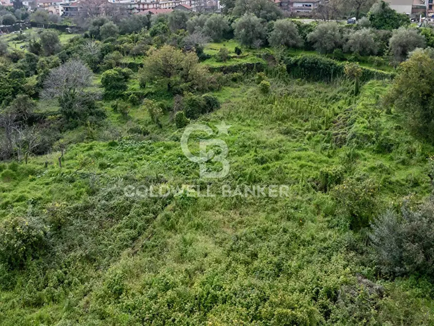 Immagine 23 di Terreno agricolo in vendita  in Via Reina 6 a Acireale
