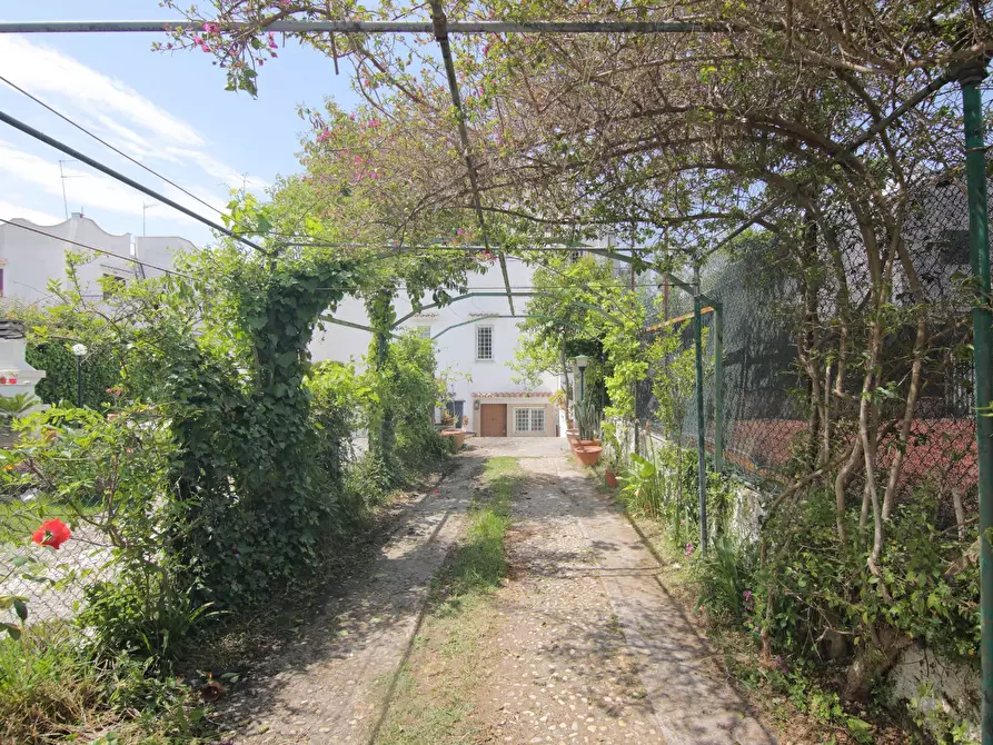 Immagine 4 di Villa in vendita  in VIA DEI LECCI 99 a Anzio