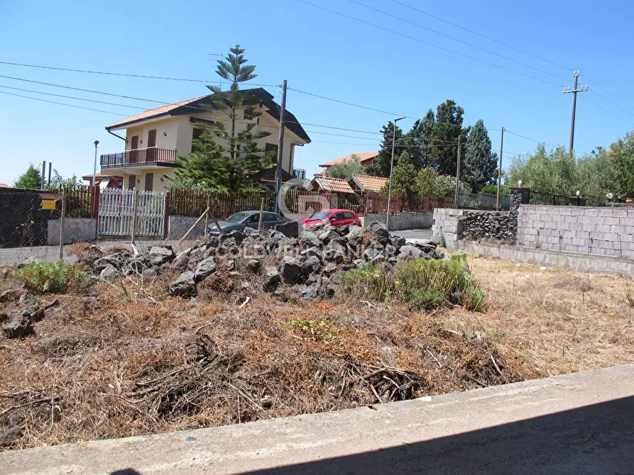 Immagine 5 di Villa in vendita  in Via Marsala 23 a Gravina Di Catania