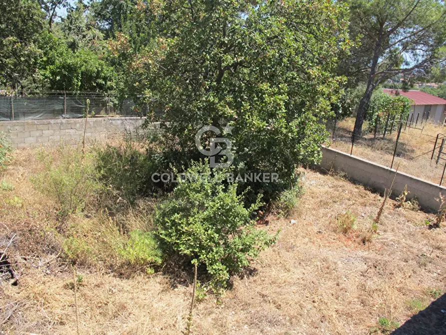Immagine 33 di Villa in vendita  in Via Marsala 23 a Gravina Di Catania