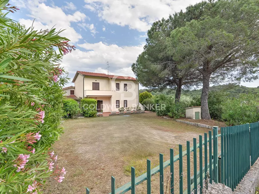 Immagine 16 di Appartamento in vendita  in Via Borandasco a Campo Nell'elba