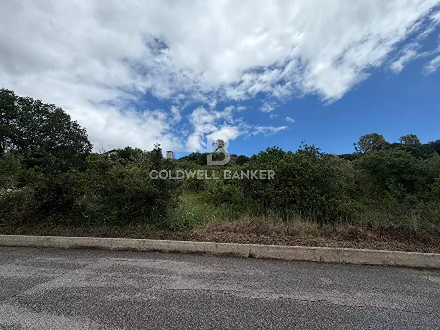 Immagine 1 di Terreno agricolo in vendita  in Via Colfiorito a Santa Marinella
