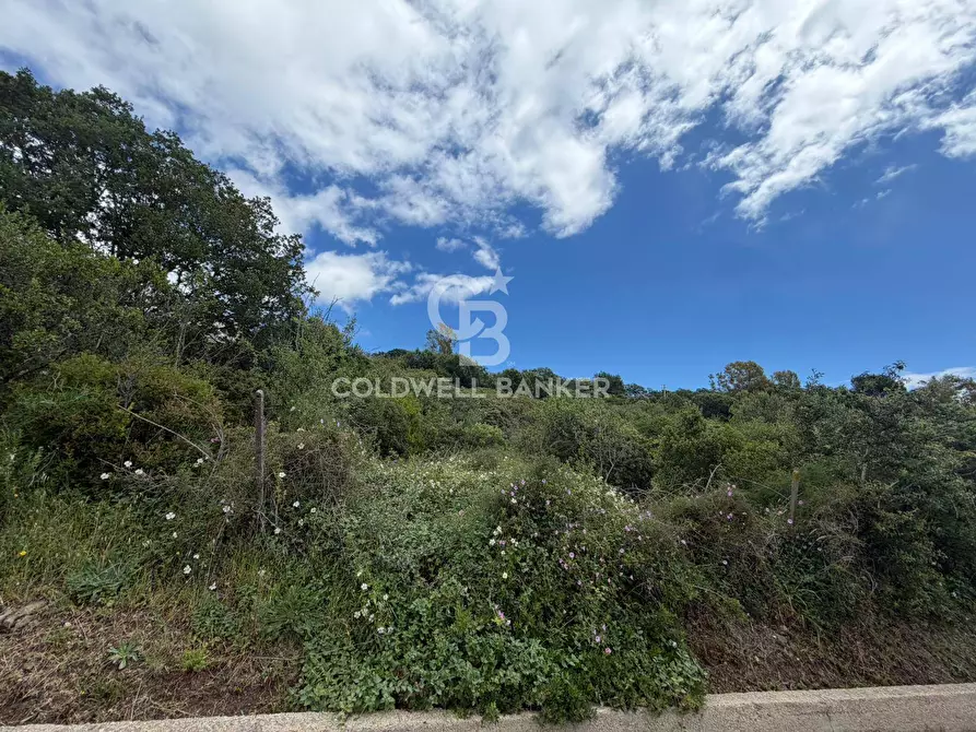 Immagine 2 di Terreno agricolo in vendita  in Via Colfiorito a Santa Marinella