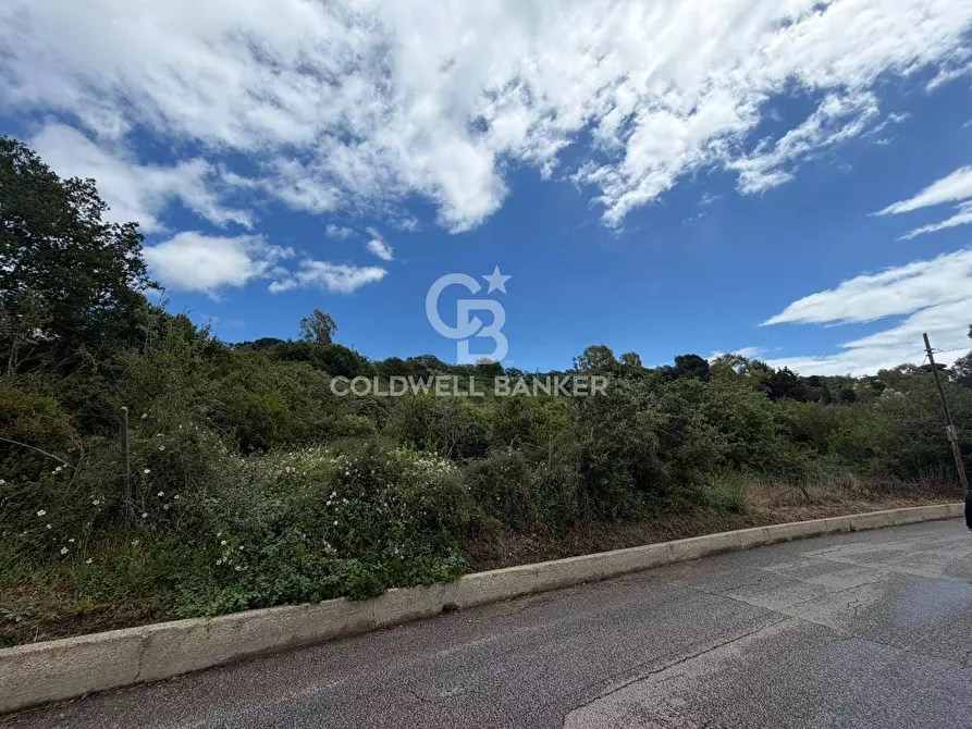 Immagine 3 di Terreno agricolo in vendita  in Via Colfiorito a Santa Marinella