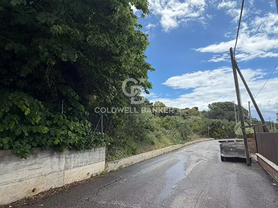 Immagine 4 di Terreno agricolo in vendita  in Via Colfiorito a Santa Marinella