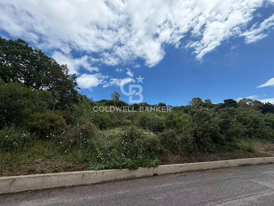 Immagine 6 di Terreno agricolo in vendita  in Via Colfiorito a Santa Marinella