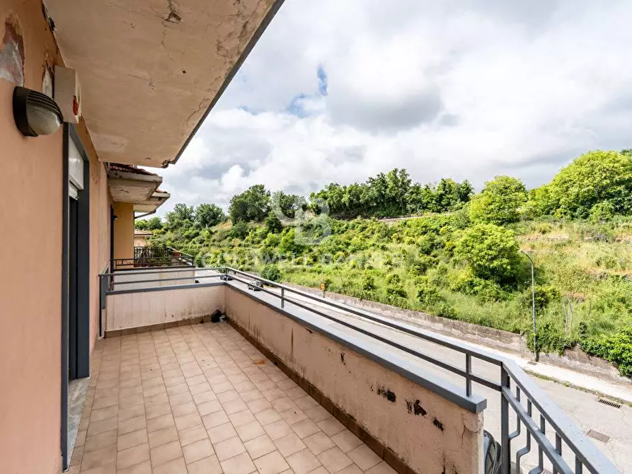 Immagine 29 di Appartamento in vendita  in via colonnello antonello da messina 14 a Piedimonte Etneo