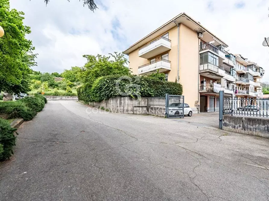 Immagine 35 di Appartamento in vendita  in via colonnello antonello da messina 14 a Piedimonte Etneo
