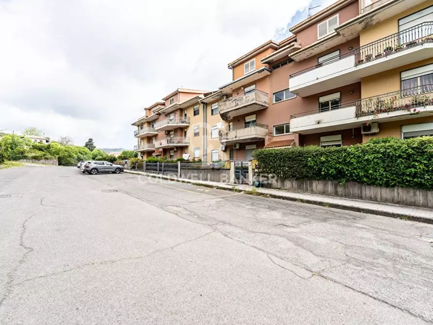 Immagine 36 di Appartamento in vendita  in via colonnello antonello da messina 14 a Piedimonte Etneo