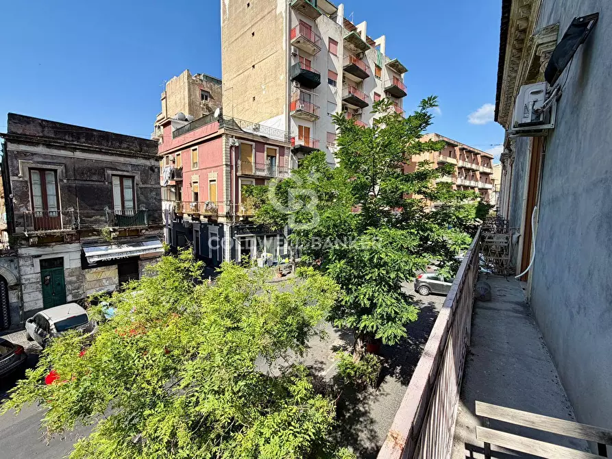 Immagine 24 di Appartamento in vendita  in Via Plebiscito 340 a Catania