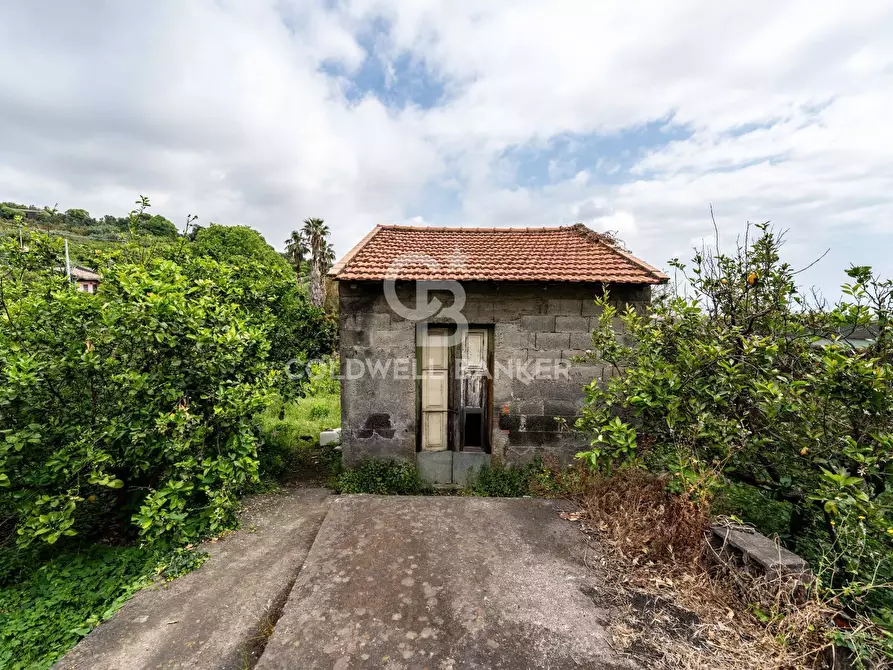 Immagine 1 di Terreno residenziale in vendita  a Mascali