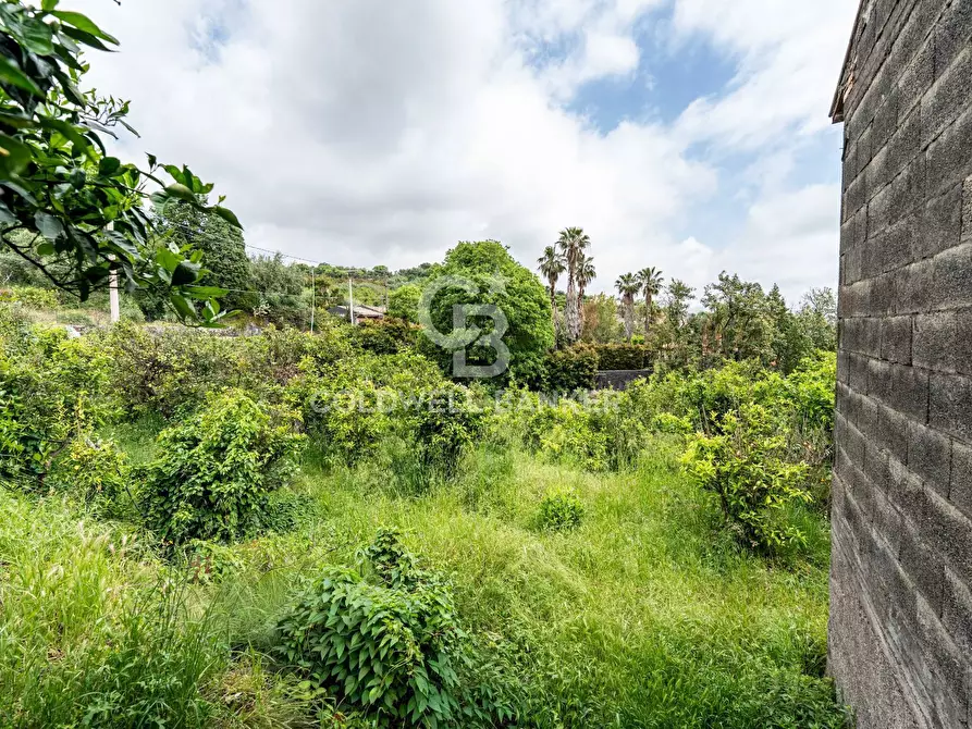 Immagine 2 di Terreno residenziale in vendita  a Mascali