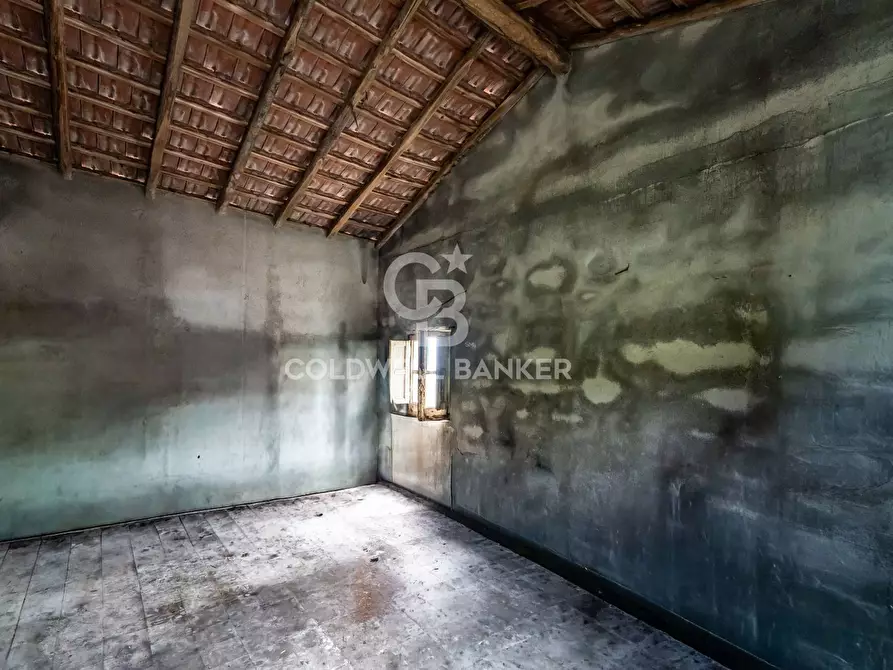 Immagine 3 di Terreno residenziale in vendita  a Mascali