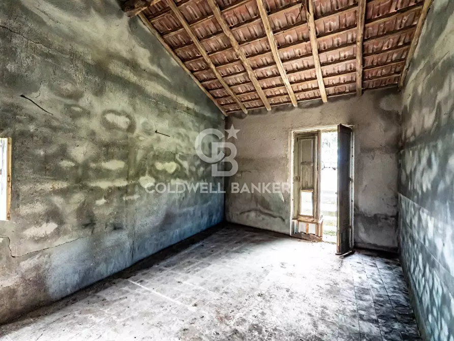 Immagine 5 di Terreno residenziale in vendita  a Mascali
