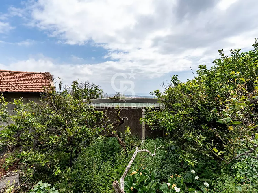 Immagine 6 di Terreno residenziale in vendita  a Mascali