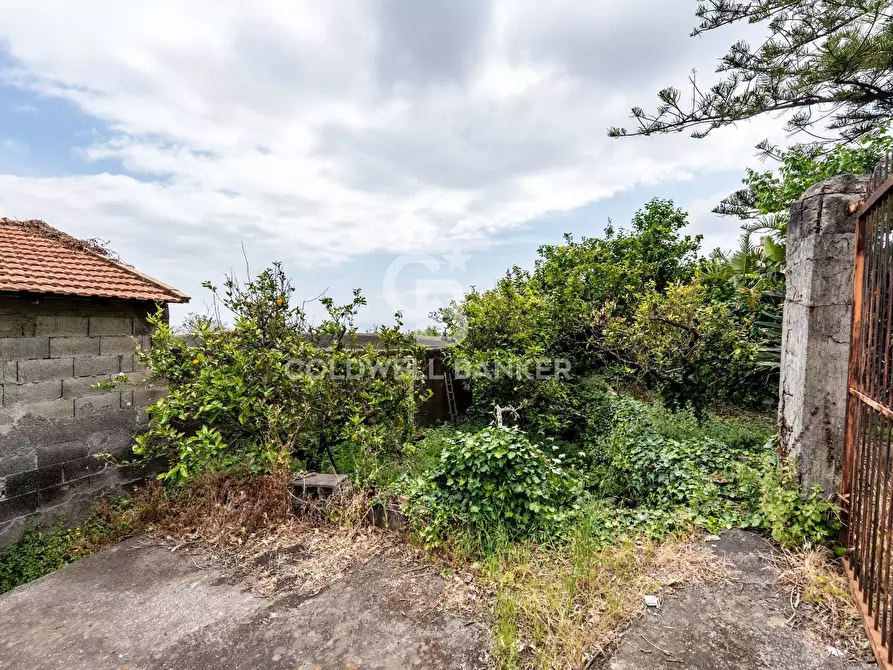 Immagine 7 di Terreno residenziale in vendita  a Mascali