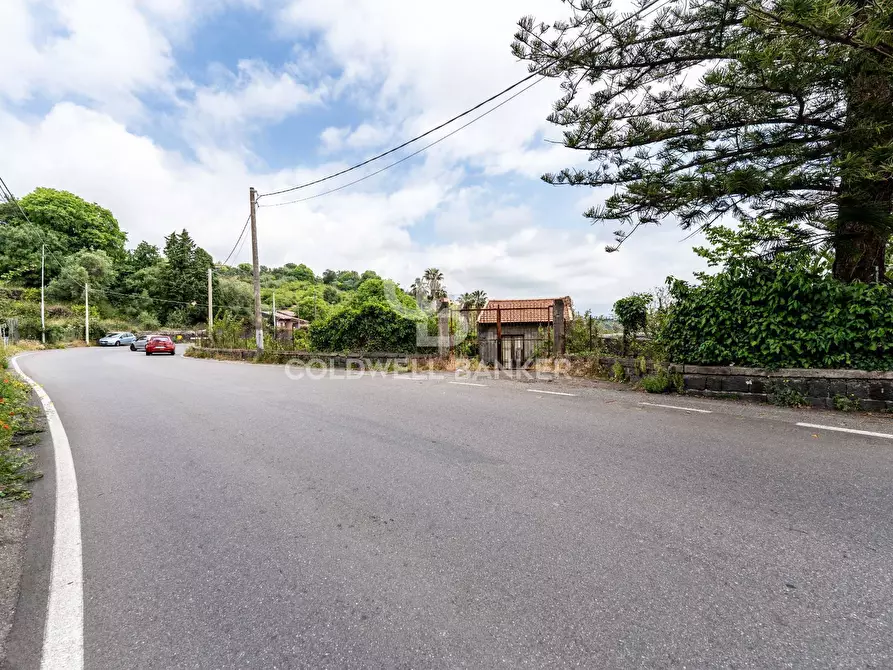Immagine 8 di Terreno residenziale in vendita  a Mascali