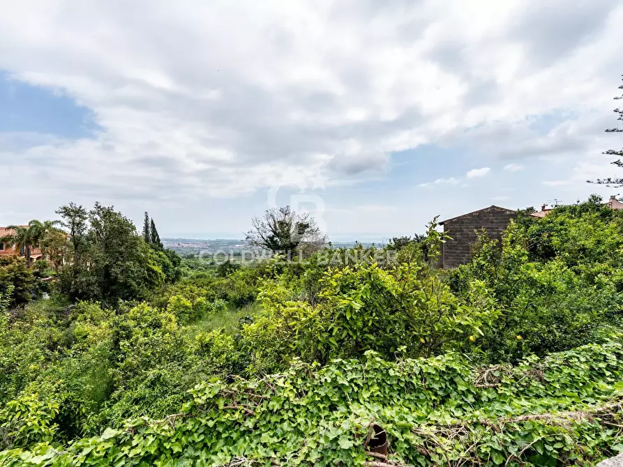 Immagine 10 di Terreno residenziale in vendita  a Mascali