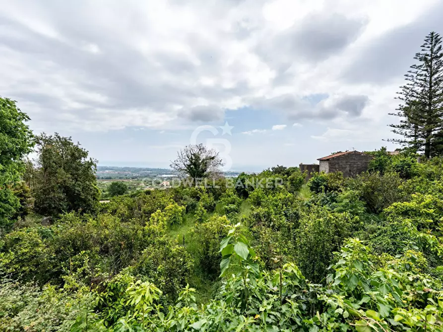 Immagine 11 di Terreno residenziale in vendita  a Mascali