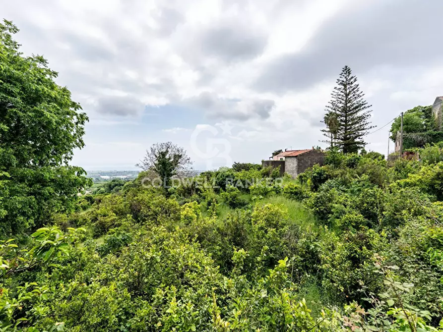 Immagine 12 di Terreno residenziale in vendita  a Mascali