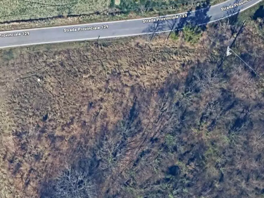 Immagine 13 di Terreno residenziale in vendita  in Strada Provinciale 129 a Auditore