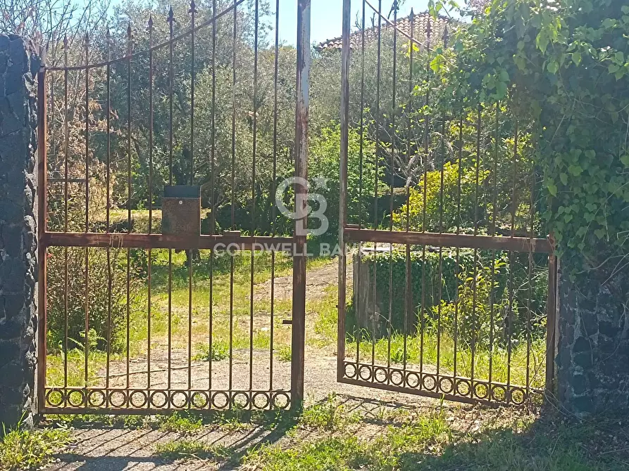 Immagine 1 di Magazzino in vendita  a Santa Venerina