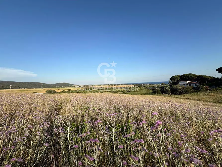 Immagine 1 di Terreno agricolo in vendita  in Via Pontenuovo snc a Santa Marinella