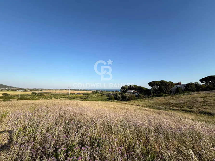 Immagine 2 di Terreno agricolo in vendita  in Via Pontenuovo snc a Santa Marinella