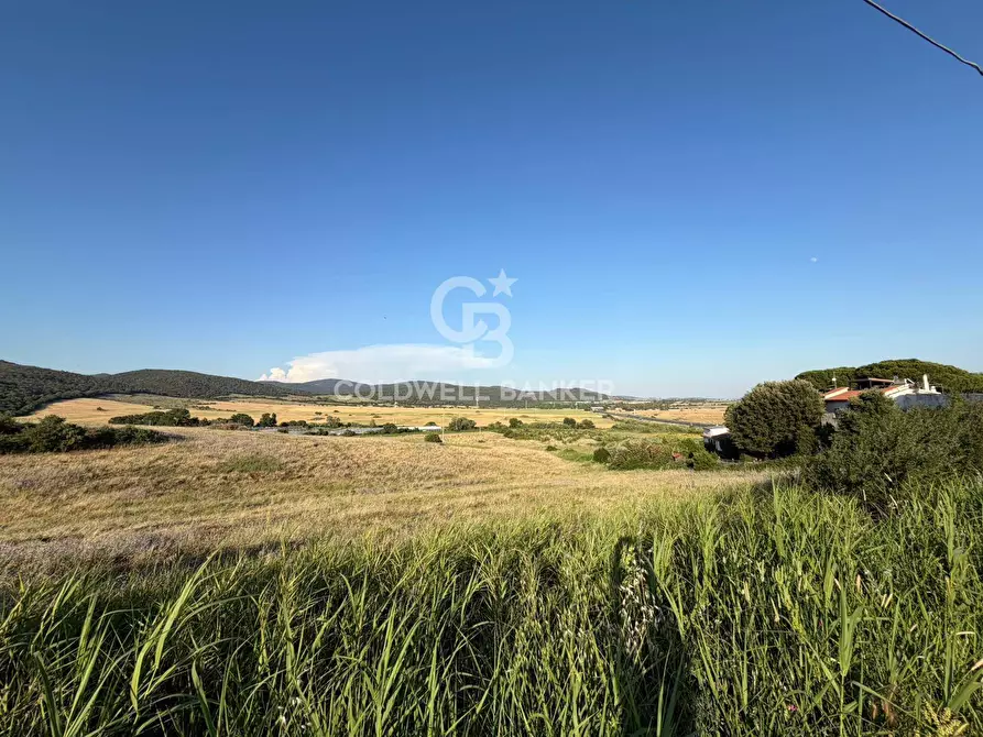Immagine 3 di Terreno agricolo in vendita  in Via Pontenuovo snc a Santa Marinella