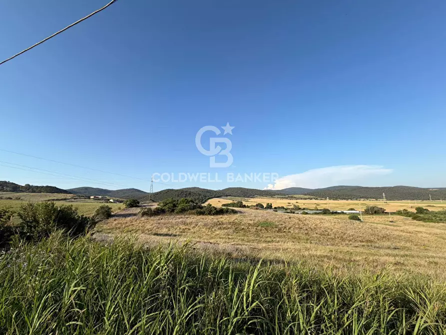 Immagine 4 di Terreno agricolo in vendita  in Via Pontenuovo snc a Santa Marinella