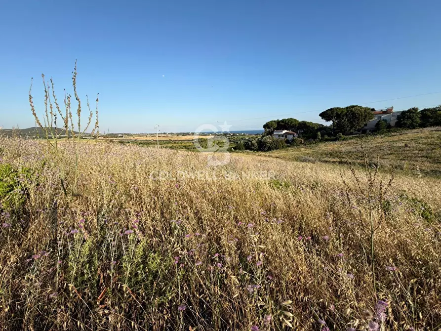 Immagine 5 di Terreno agricolo in vendita  in Via Pontenuovo snc a Santa Marinella