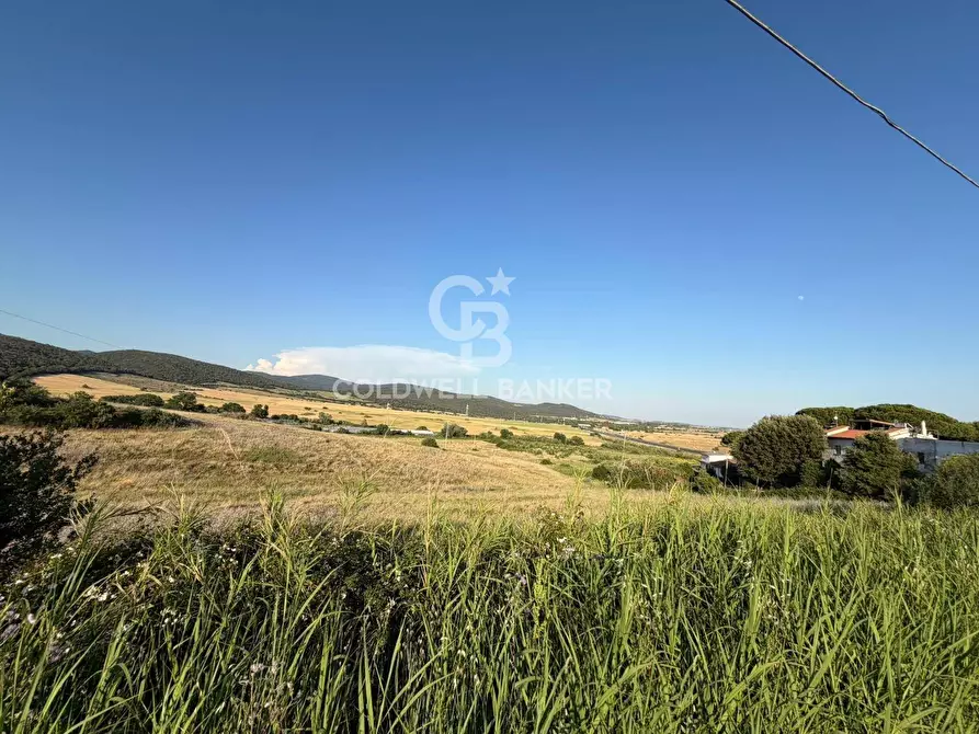 Immagine 6 di Terreno agricolo in vendita  in Via Pontenuovo snc a Santa Marinella