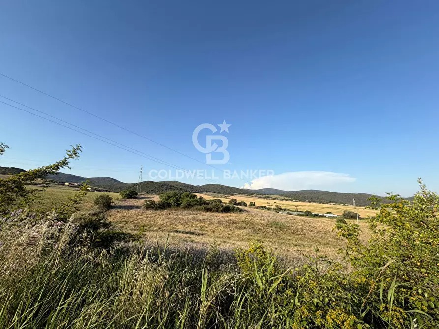 Immagine 8 di Terreno agricolo in vendita  in Via Pontenuovo snc a Santa Marinella