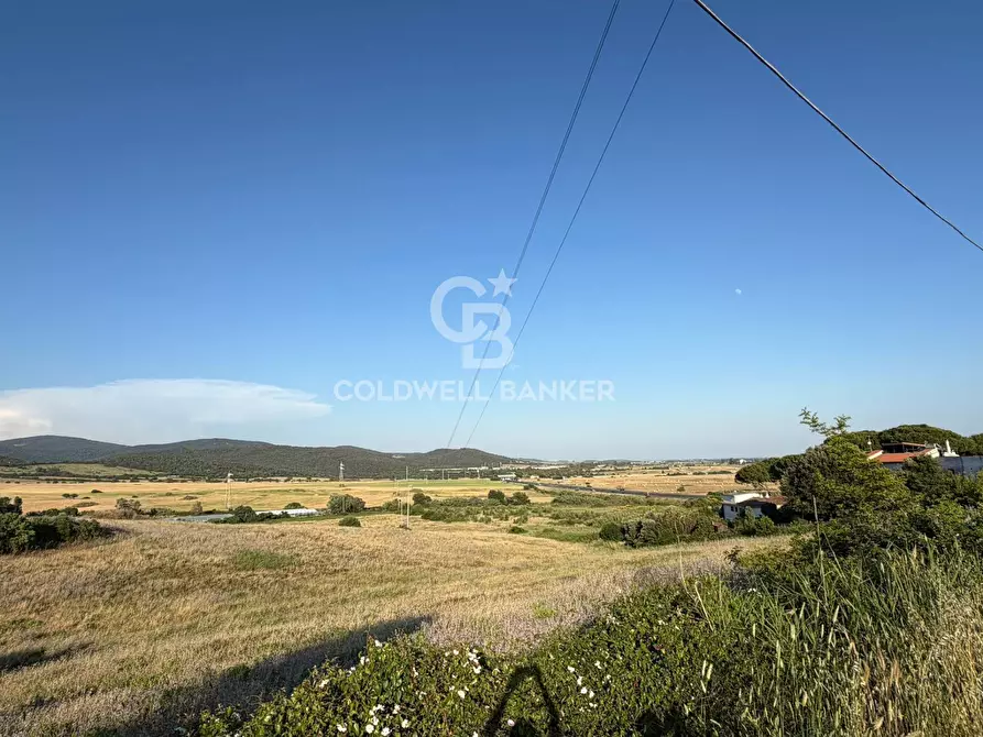 Immagine 9 di Terreno agricolo in vendita  in Via Pontenuovo snc a Santa Marinella
