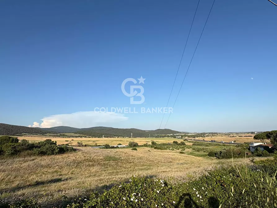 Immagine 10 di Terreno agricolo in vendita  in Via Pontenuovo snc a Santa Marinella