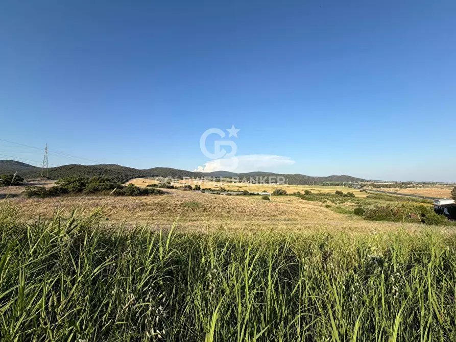 Immagine 11 di Terreno agricolo in vendita  in Via Pontenuovo snc a Santa Marinella
