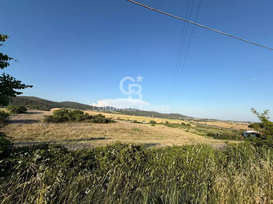 Immagine 12 di Terreno agricolo in vendita  in Via Pontenuovo snc a Santa Marinella