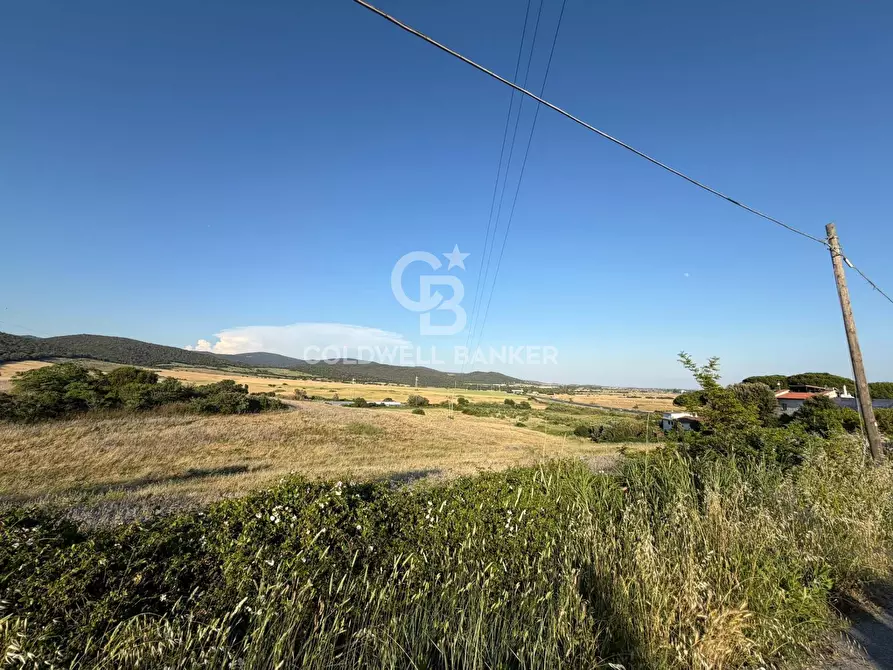 Immagine 13 di Terreno agricolo in vendita  in Via Pontenuovo snc a Santa Marinella