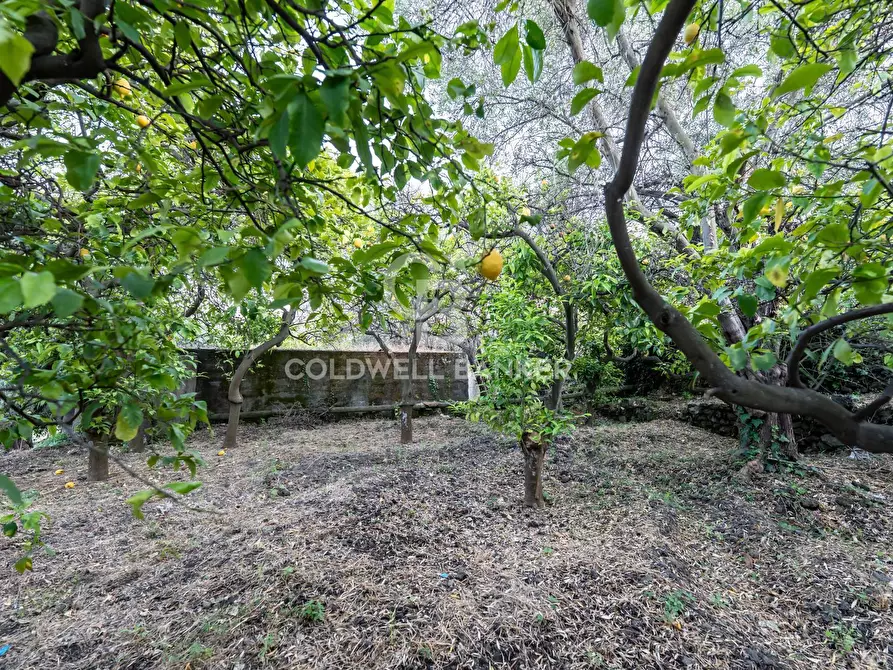 Immagine 8 di Terreno residenziale in vendita  in Via Fondannone snc a Milo