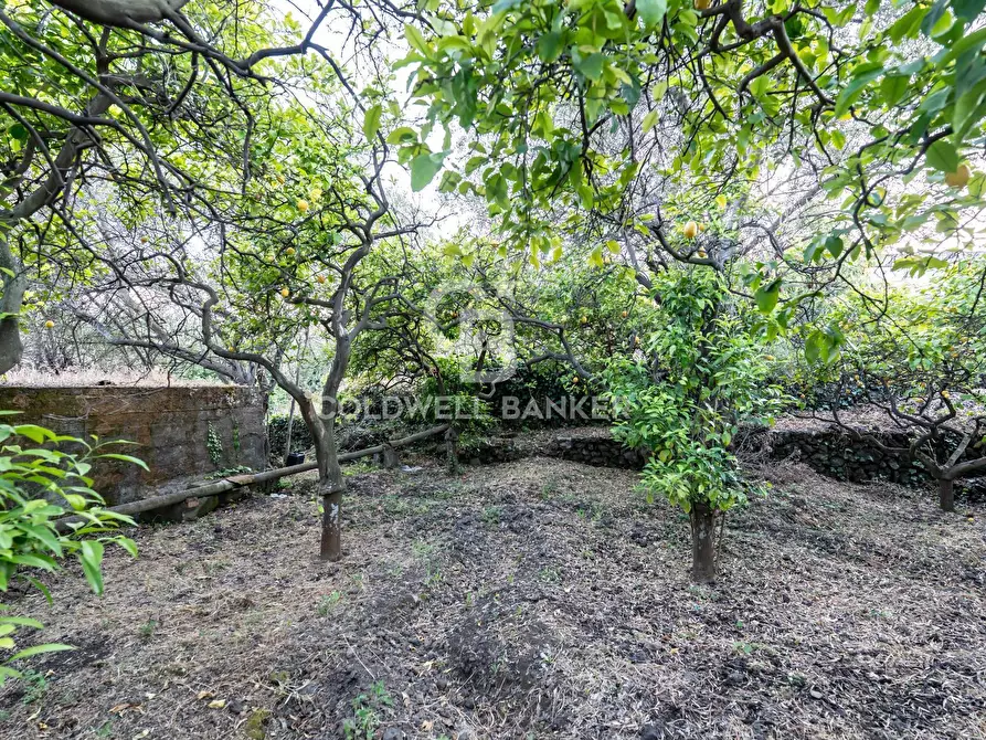 Immagine 9 di Terreno residenziale in vendita  in Via Fondannone snc a Milo