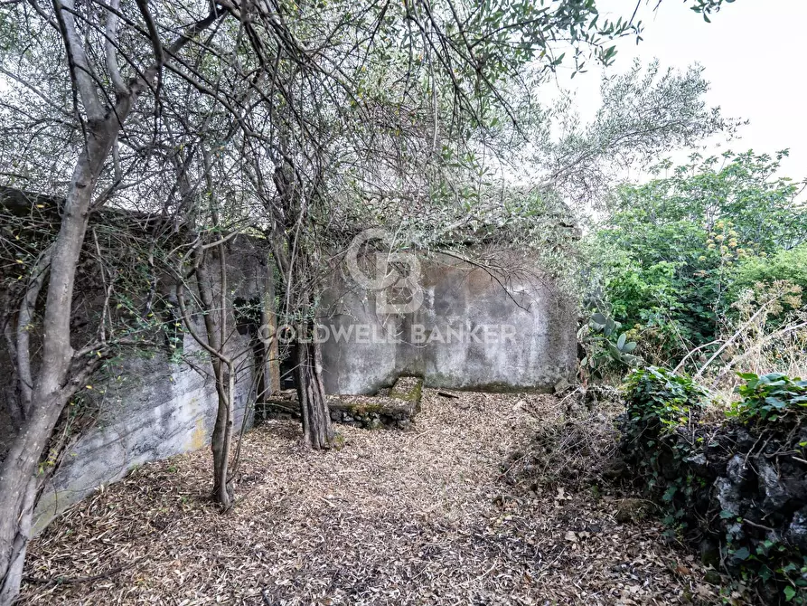Immagine 10 di Terreno residenziale in vendita  in Via Fondannone snc a Milo
