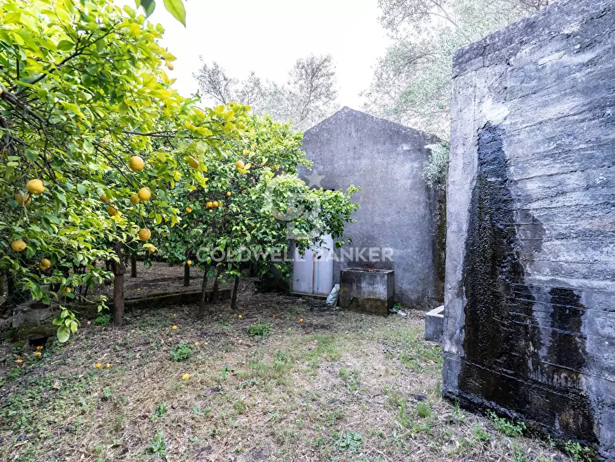 Immagine 6 di Terreno residenziale in vendita  in Via Fondannone snc a Milo