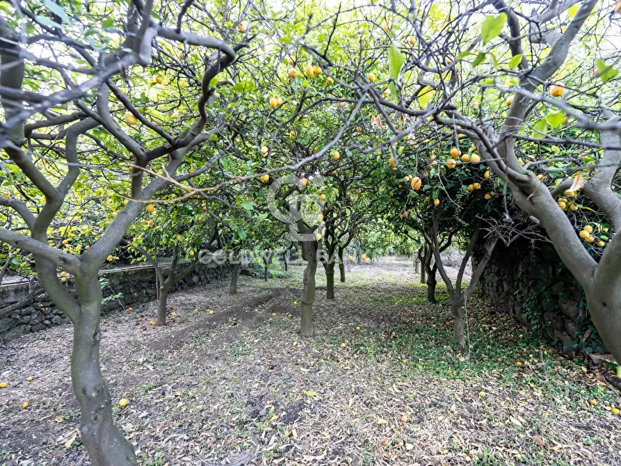 Immagine 17 di Terreno residenziale in vendita  in Via Fondannone snc a Milo