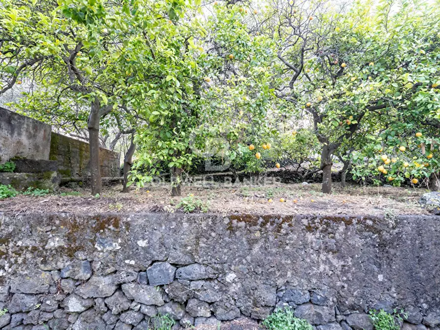 Immagine 18 di Terreno residenziale in vendita  in Via Fondannone snc a Milo