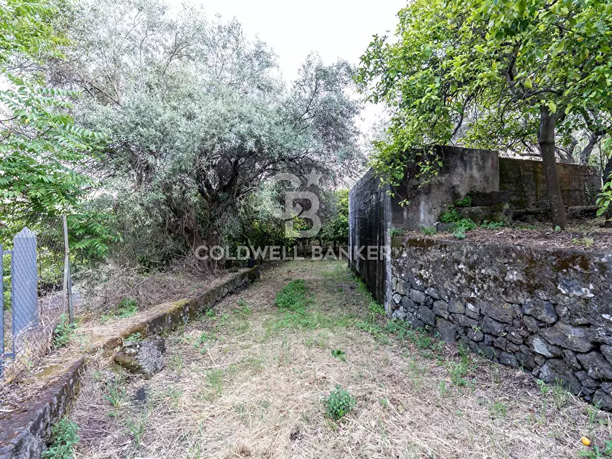 Immagine 4 di Terreno residenziale in vendita  in Via Fondannone snc a Milo