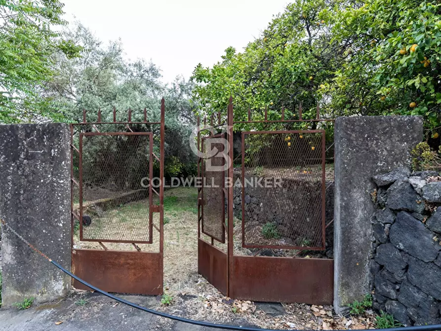 Immagine 3 di Terreno residenziale in vendita  in Via Fondannone snc a Milo