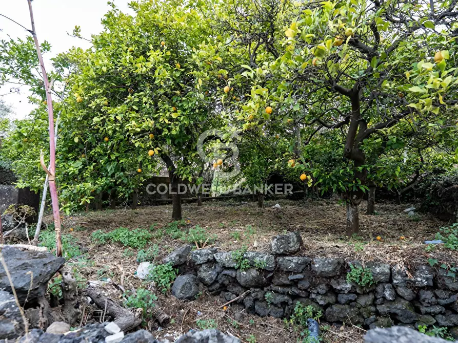 Immagine 19 di Terreno residenziale in vendita  in Via Fondannone snc a Milo