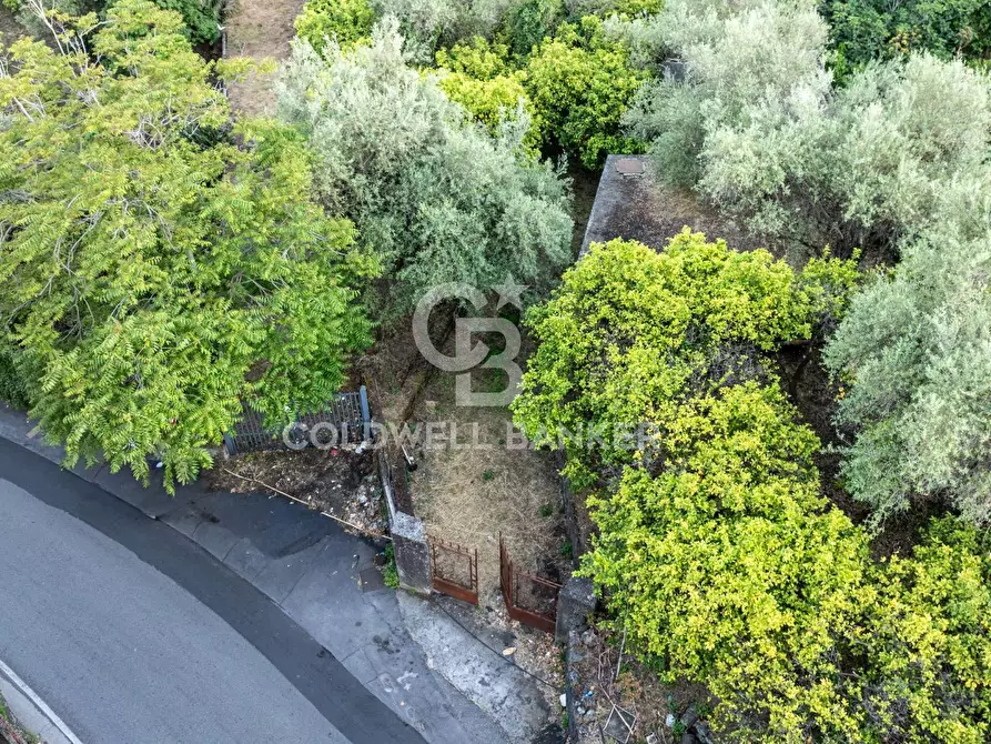 Immagine 20 di Terreno residenziale in vendita  in Via Fondannone snc a Milo
